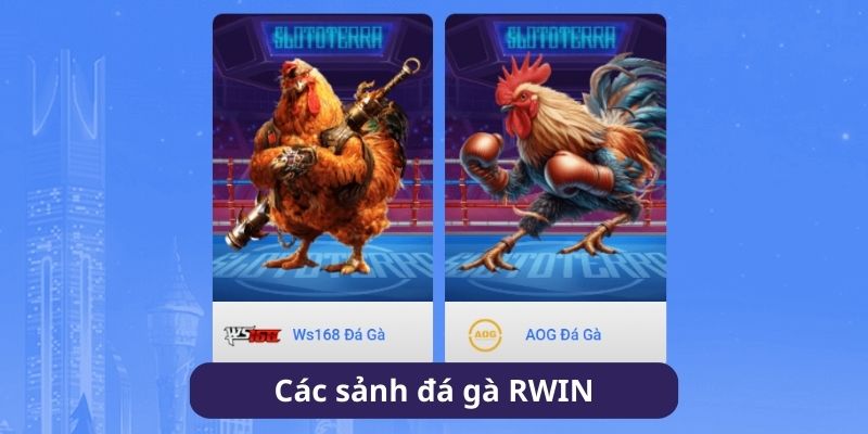 Giới thiệu 2 sảnh đá gà RWIN