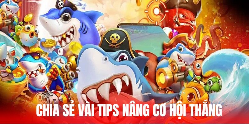 Chia sẻ vài tips nâng cơ hội thắng